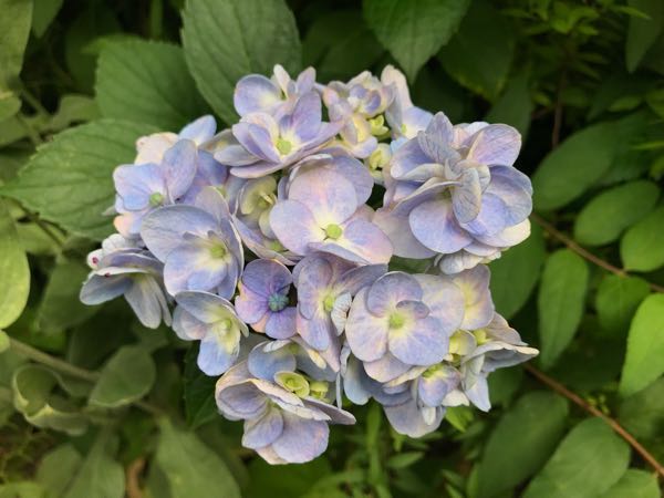 rblog-20180628172147-04.jpg