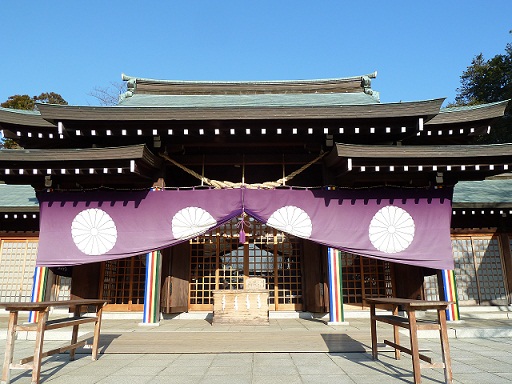 2013.3.17 035.JPG