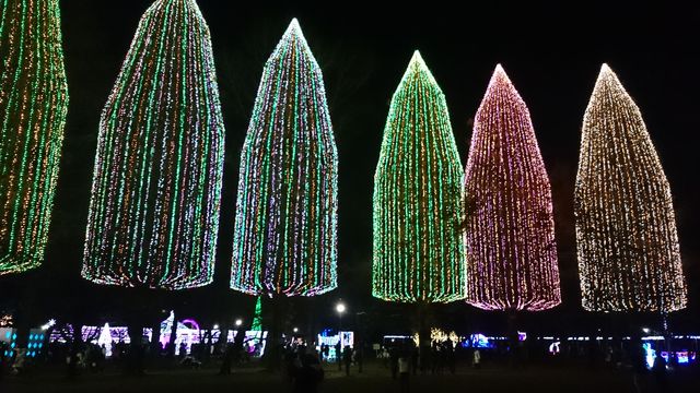 2015-12-20 17.36.30.jpg