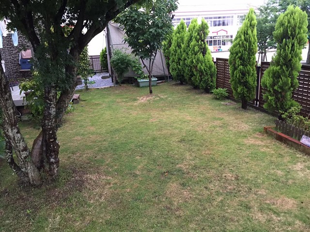 6.28garden.jpg