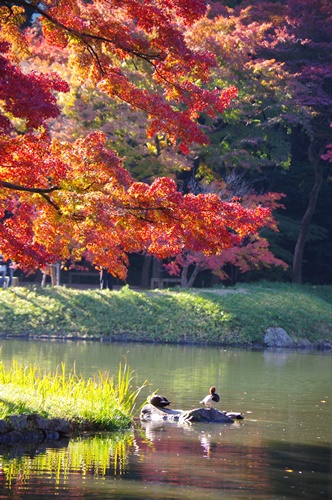 小石川後楽園