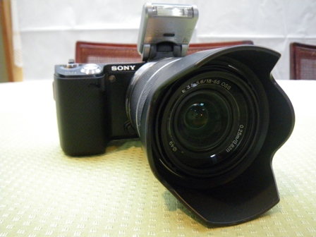 nex-5n-5.JPG