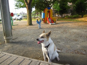 IMG_9417.JPG