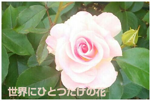 rblog-20160516223519-00.jpg
