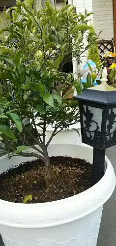 rblog-20170312230917-01.jpg