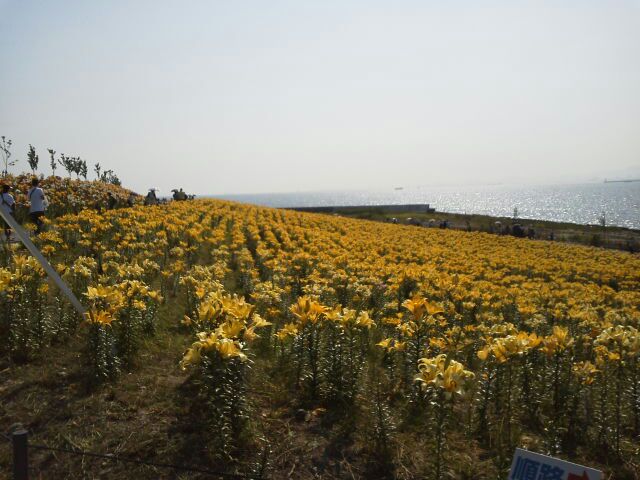 rblog-20140619154141-00.jpg