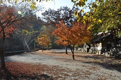 荒川キャンプ場