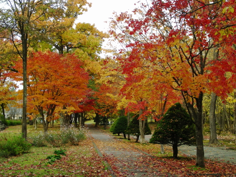 10-12street2 (1).JPG