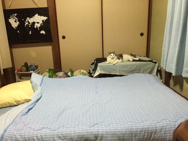 rblog-20150821224318-00.jpg