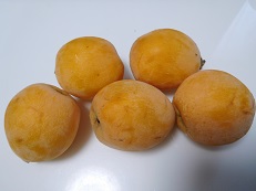 DSCN1135.JPG