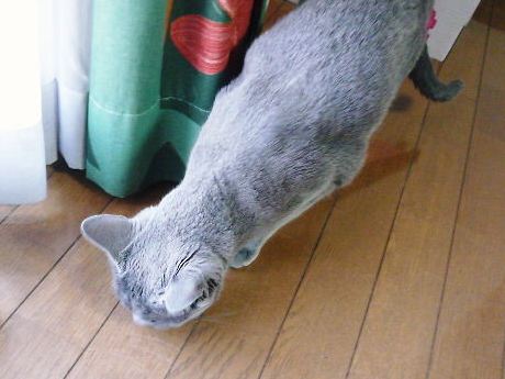 2014年05月28日_P1180627.jpg