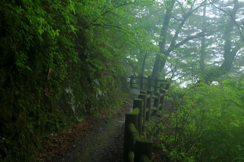 玉置神社_006-参道.jpg