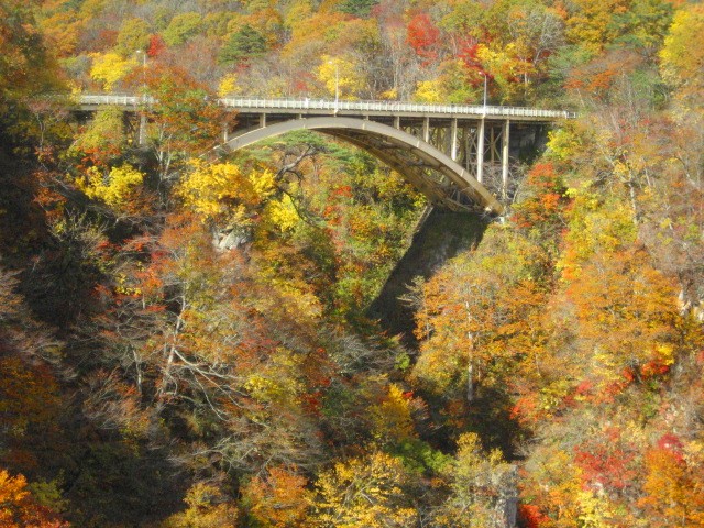 宮城鳴子峡紅葉２.jpg