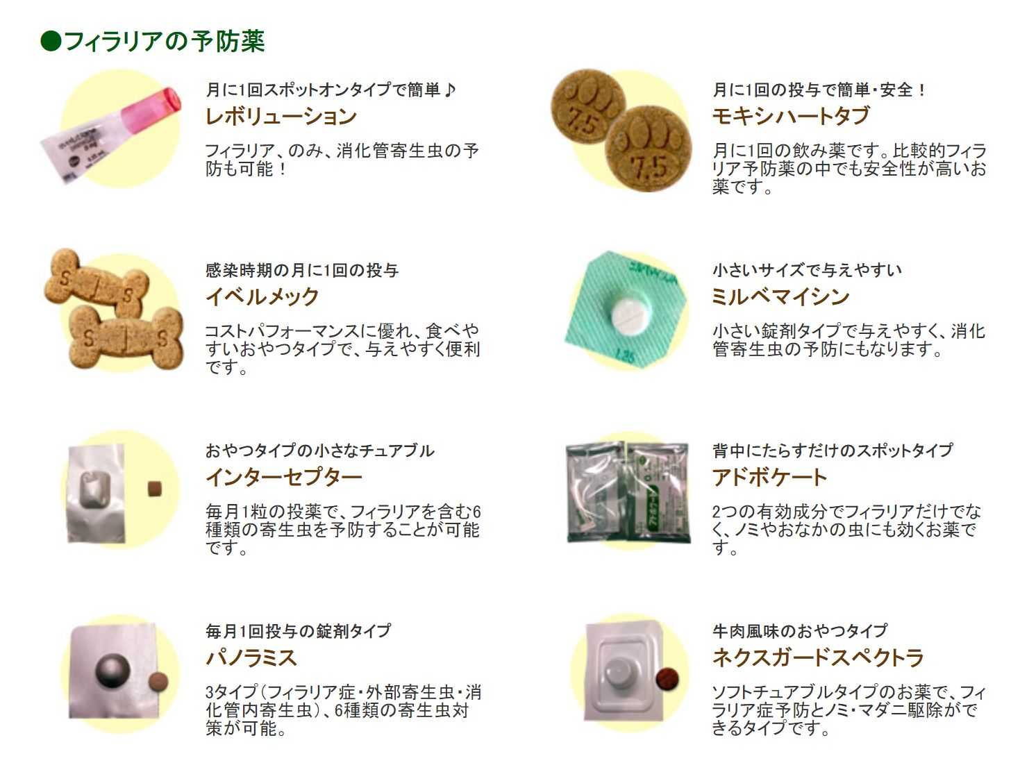 フィラリア予防の時期になりました ᴥ Leo R 楽天ブログ