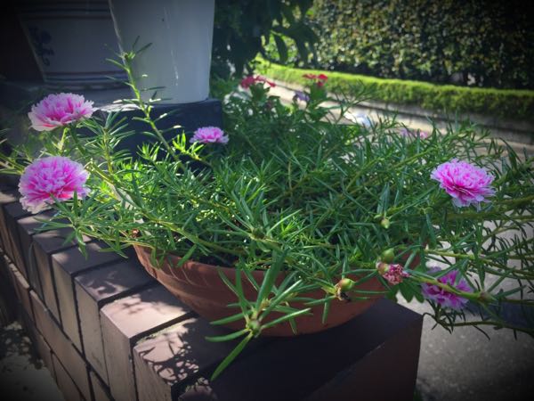 rblog-20160826101100-01.jpg