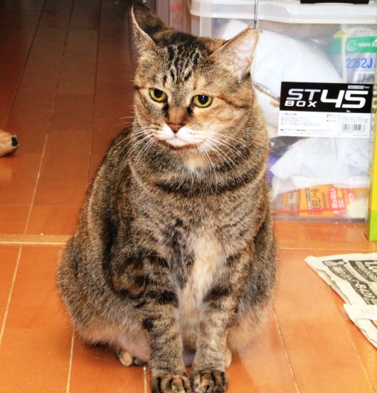 20160715サキ04.jpg