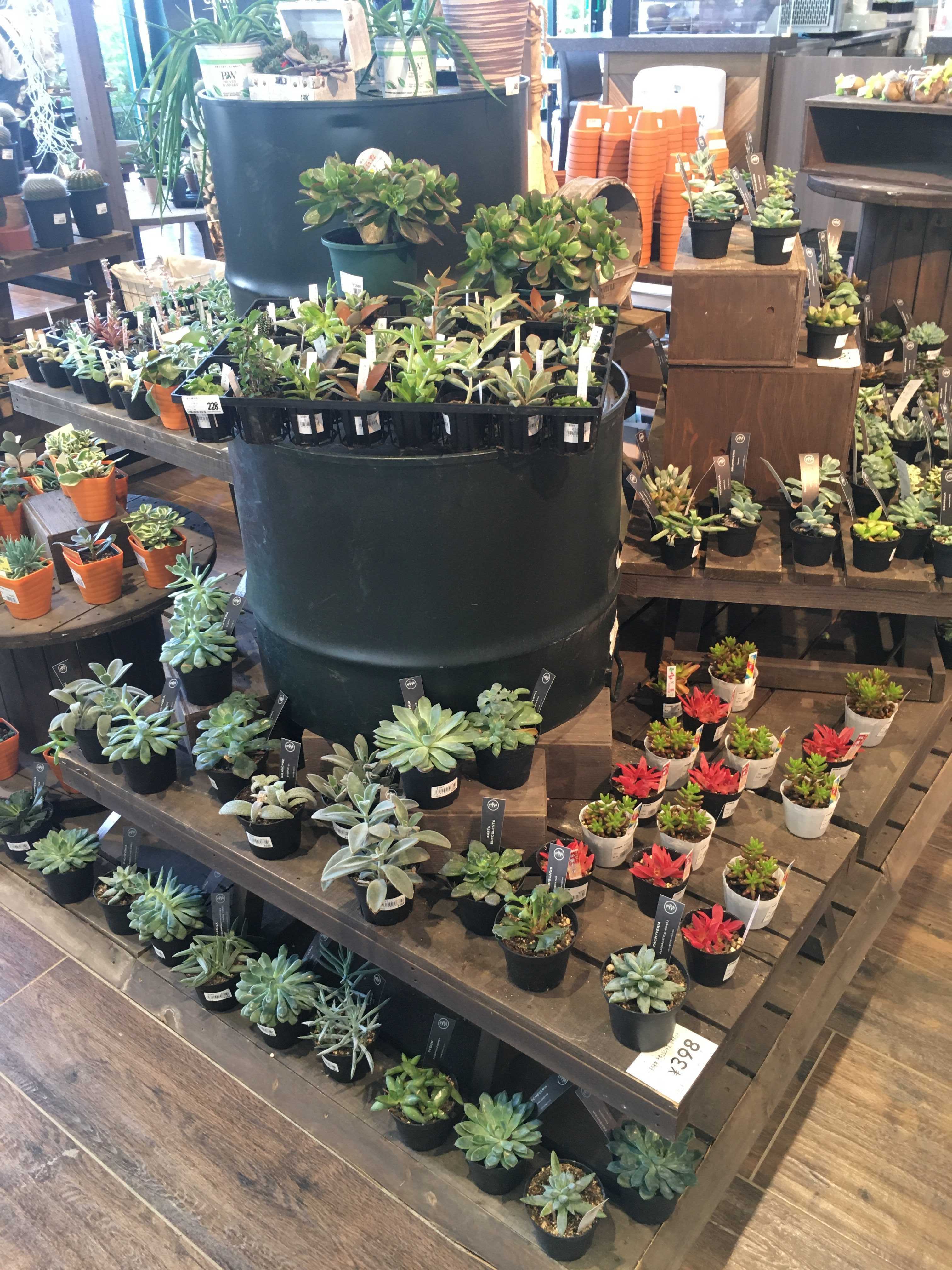 カインズホーム 店 ちょっと座って 楽天ブログ