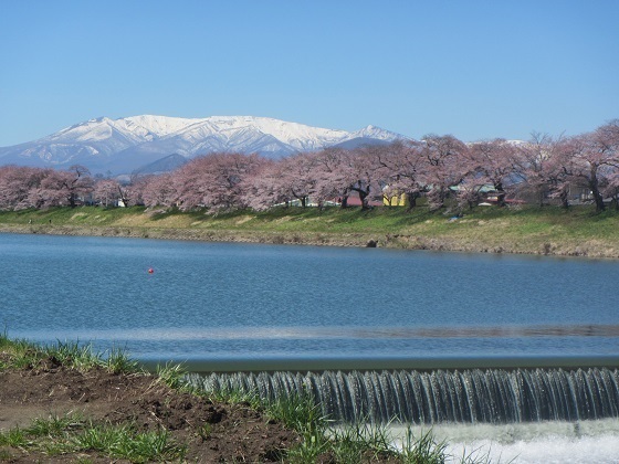 山F堰不忘～杉ケ峰.jpg