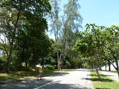 P1140239s-board2.JPG