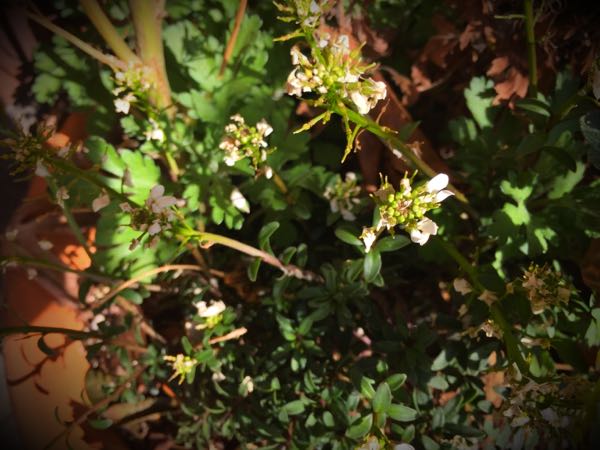 rblog-20160225161857-02.jpg