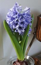 DSC00805.JPG