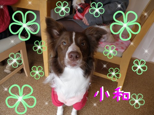 小和.JPG