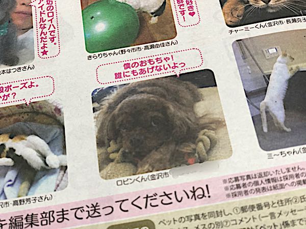 rblog-20180405184303-02.jpg