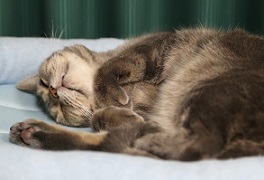 5DA_1559-21.jpg