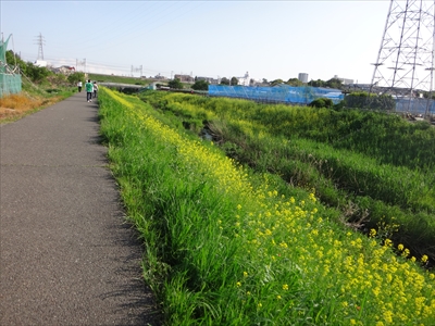 DSC00755_R.JPG