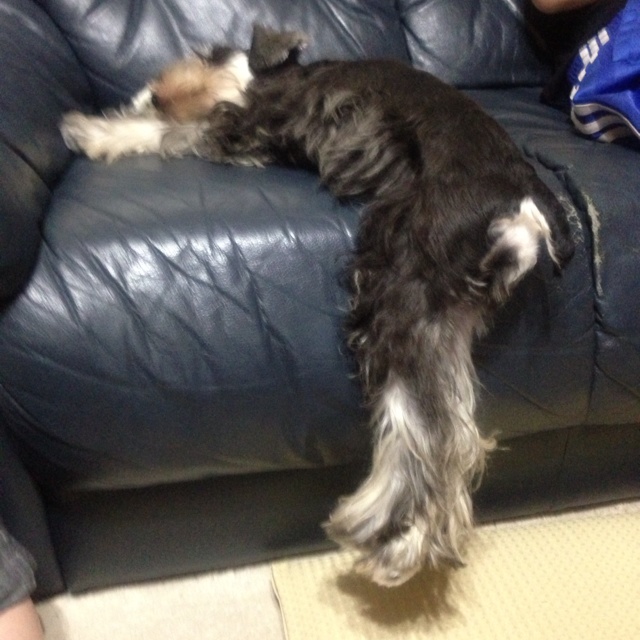 rblog-20130906071525-01.jpg