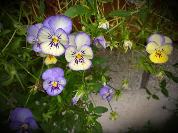 rblog-20160627195701-05.jpg