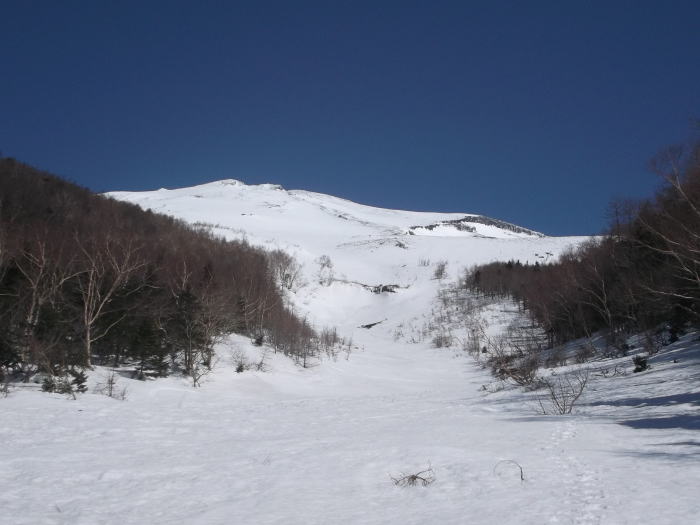 0408e.jpg