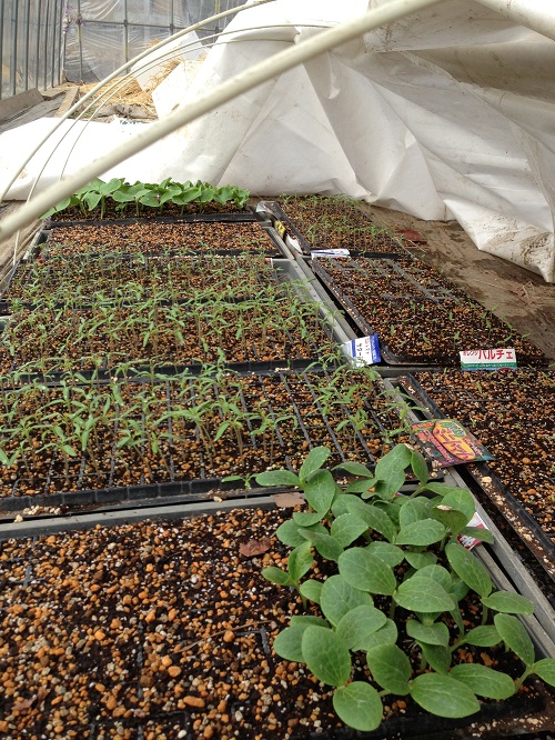 007.JPG