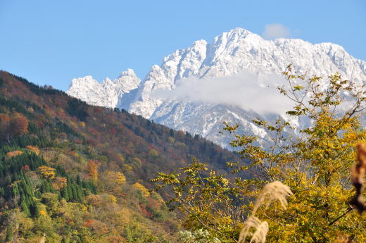 馬場島　紅葉