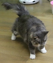 5DA_3354-28.jpg