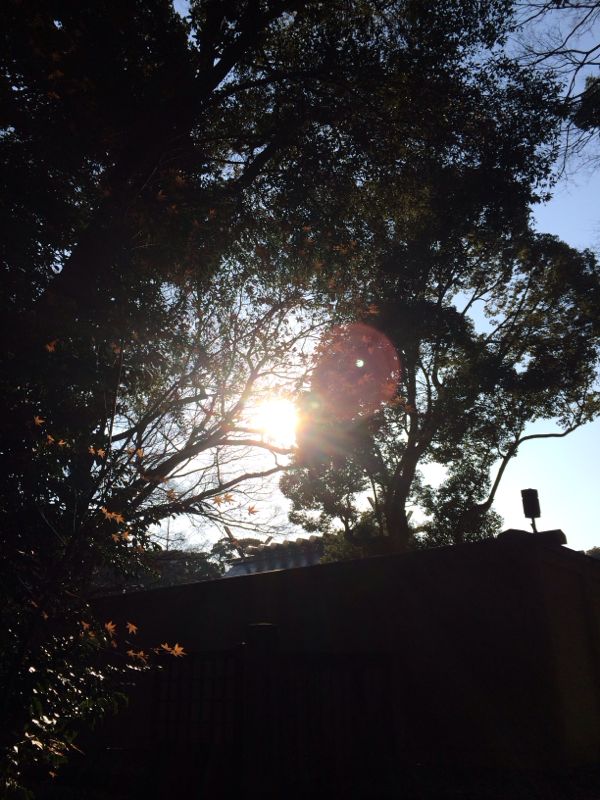 rblog-20150106110155-00.jpg