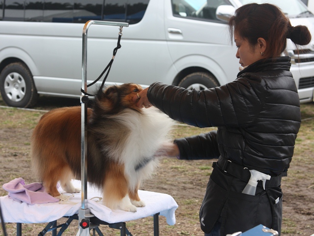 IMG_0797 - コピー.JPG