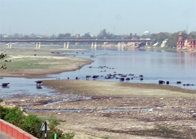 インド176.jpg