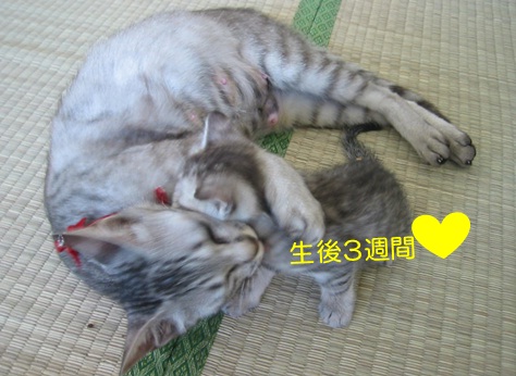 20120730_3.jpg