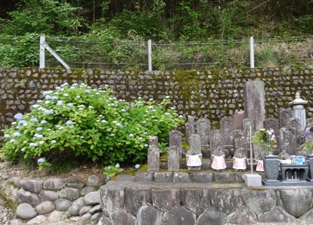 あじさい寺０８