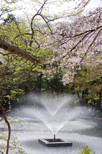 井の頭恩賜公園にて