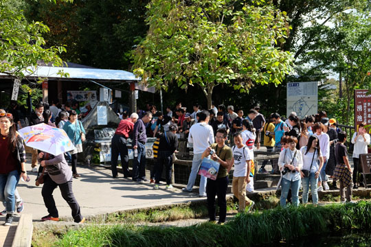 DSCF9228.jpg