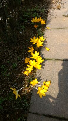 rblog-20140318160705-01.jpg