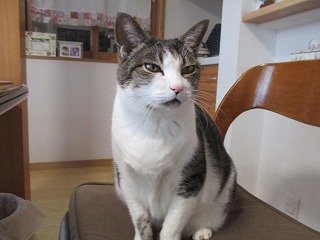 IMG_3217ss.jpg