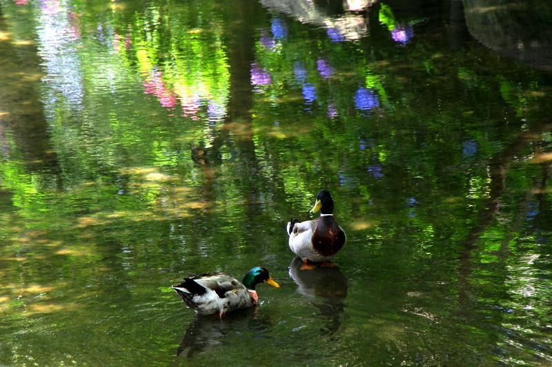 長居植物園_19-3.jpg