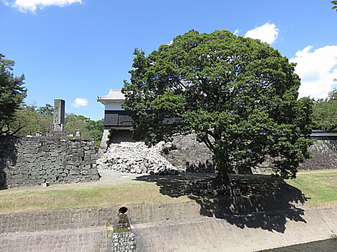 IMG_4726.jpg