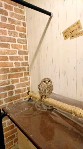 rblog-20180307014610-02.jpg