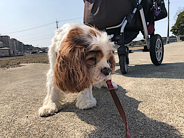 rblog-20180313133221-04.jpg