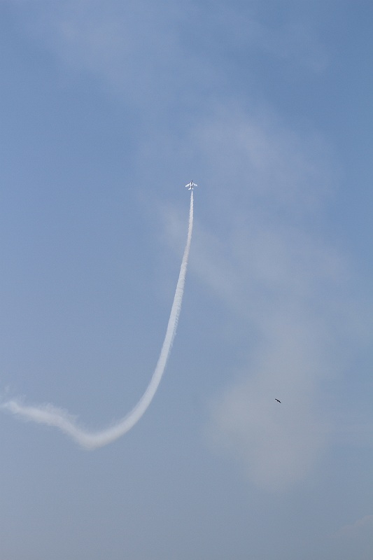 IMG_8388.jpg