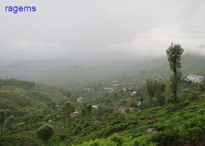8.viw of haputale.jpg